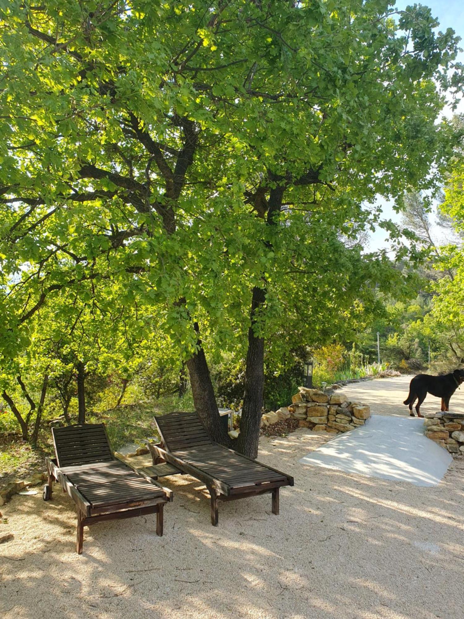 Villa Le Soleil du Ventoux à Entrechaux Extérieur photo