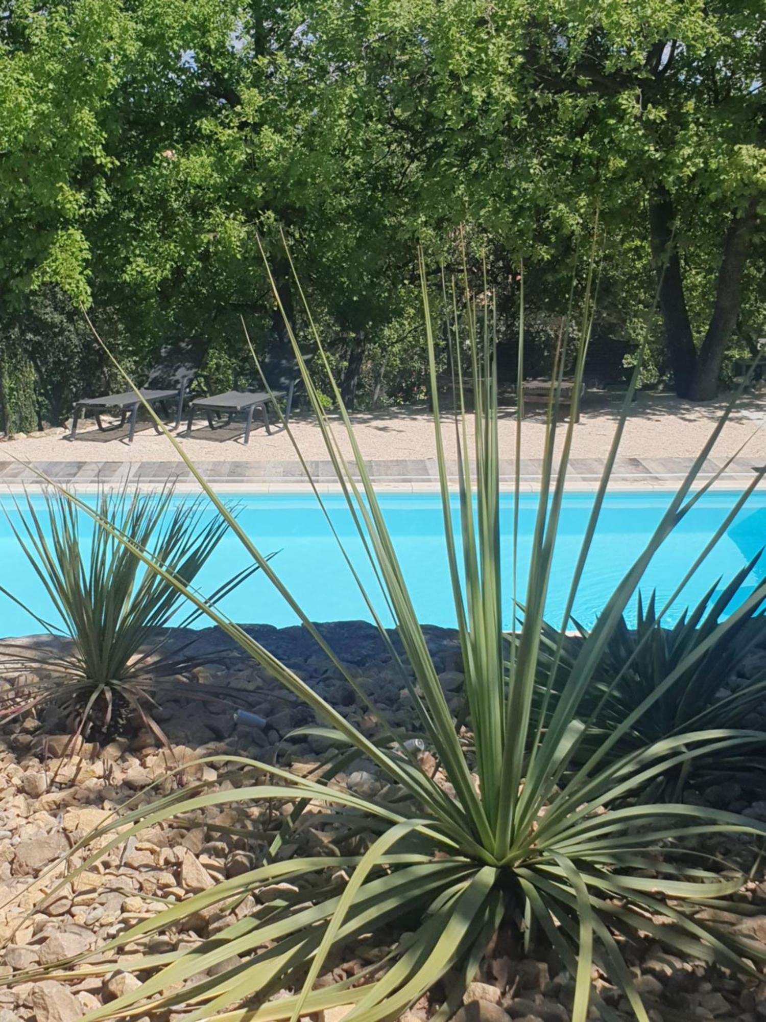 Villa Le Soleil du Ventoux à Entrechaux Extérieur photo